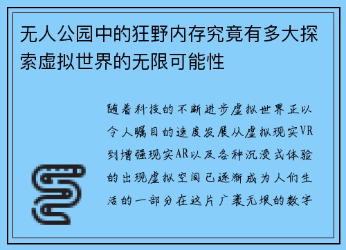 无人公园中的狂野内存究竟有多大探索虚拟世界的无限可能性